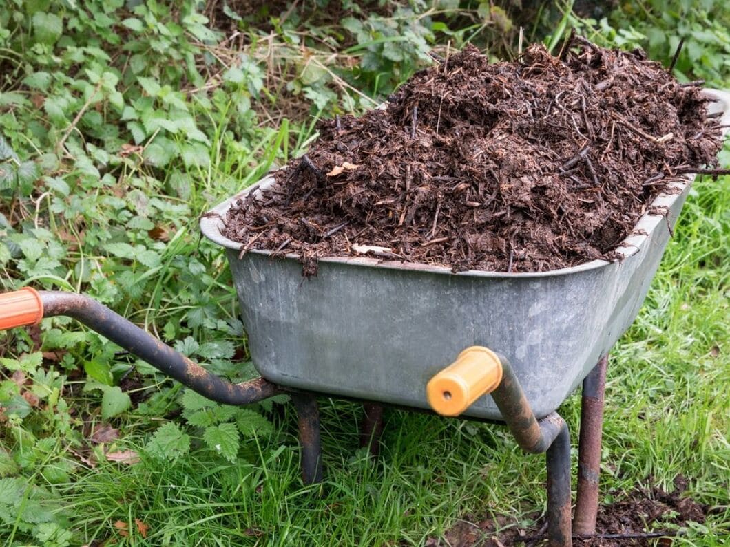 En kompost får gärna stå i ett skuggigt hörn i trädgården